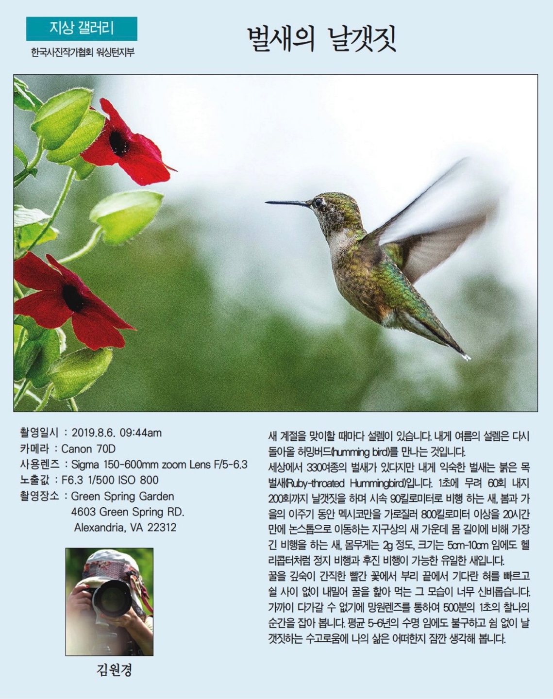 벌새의 날갯짓. 김원경. 7월 6일 2023년 한국일보