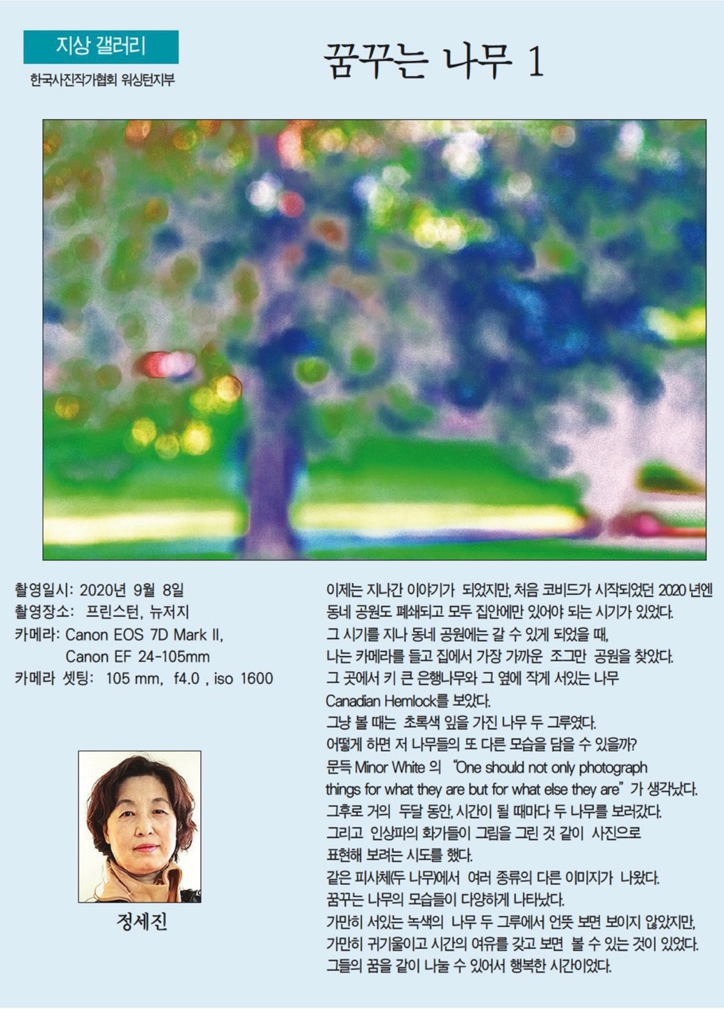 꿈꾸는 나무 1. 정세진. 8월 3일 2023년. 한국일보