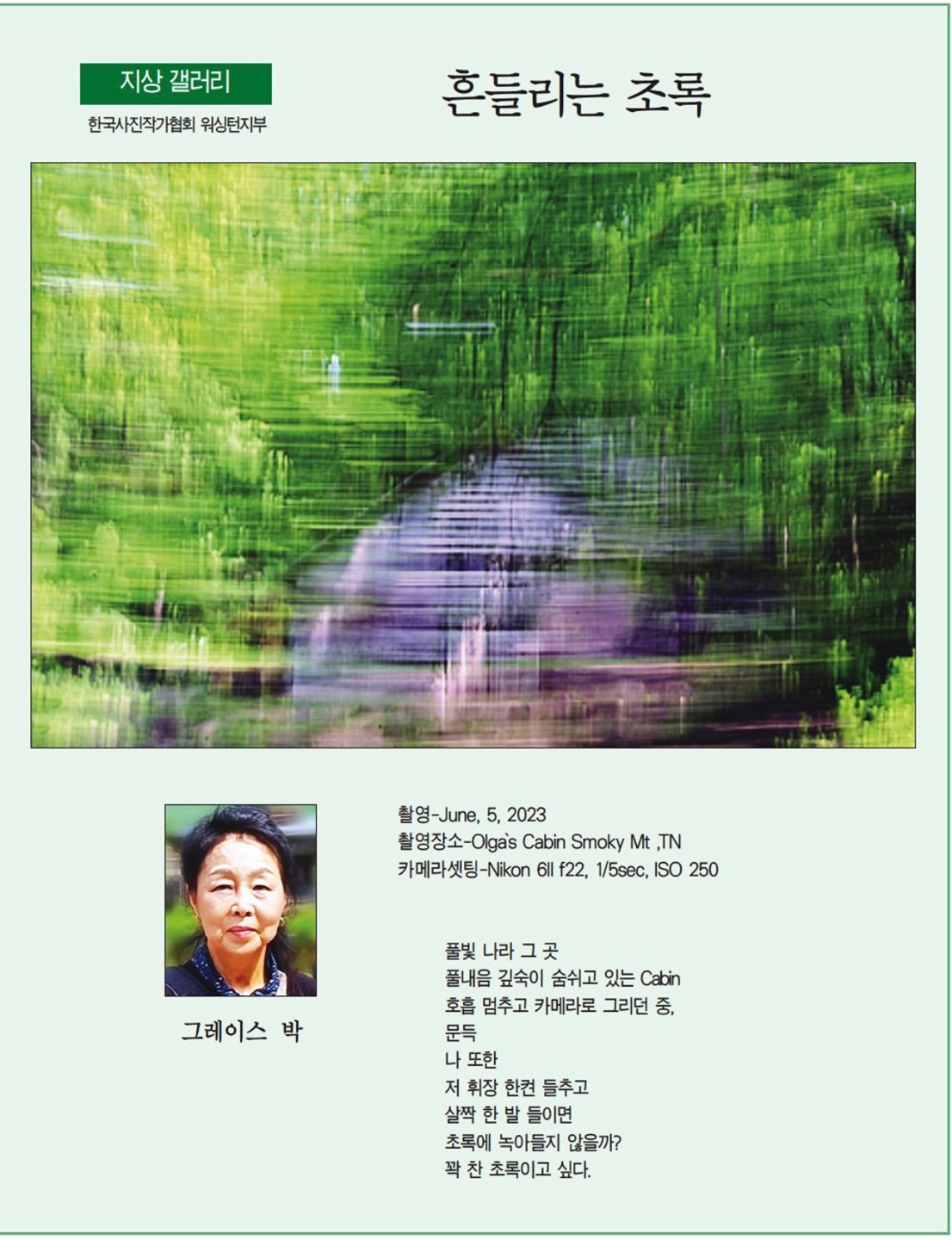 흔들리는 초록. Grace 박. 9월 21일 2023년 .한국일보